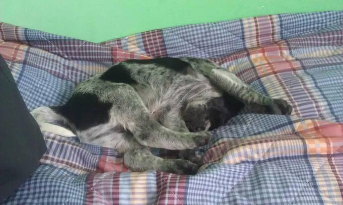 94859175_963331227403156_1640333961227927552_n