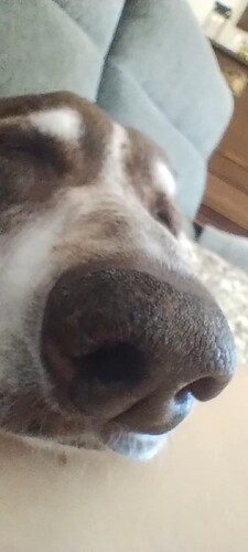 Messenger_creation_F2B742F8-EB0A-43D6-BA85-EC28F073751A