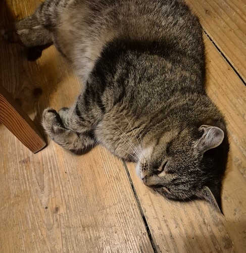 Screenshot_20250417_025608_Gallery