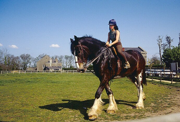 Jersey_Collection_043