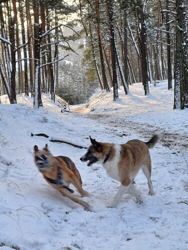 Messenger_creation_6534849F-A7A5-4FD0-B648-B01D9A70B39D