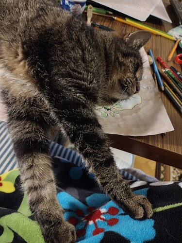 IMG_20250323_210352810_HDR