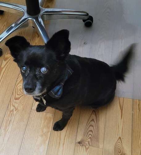 Screenshot_20230226_222845_Gallery