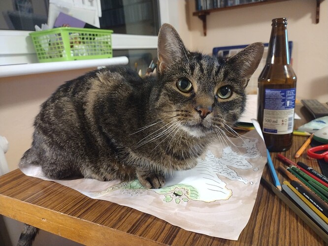 IMG_20250323_205230654