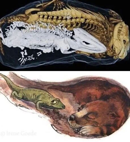 d157ffc5b98e549657594fcd76eeab3e