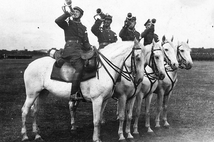 z30077292AMP,Prof--Grzegorz-Nowik---Sowiecka-kawaleria-przypomi