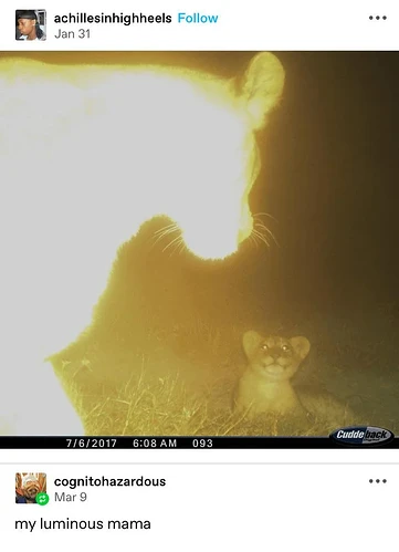 RDT_20250320_1527018605650523076942058