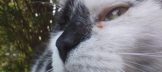 Messenger_creation_44B225D2-C70D-42EB-A7B9-FF0ABD63EF1B