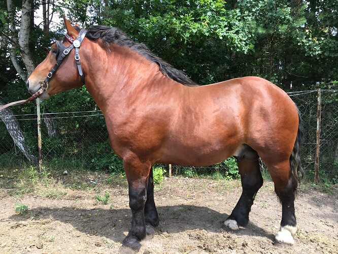 SOLAR_Korycki-Tadeusz-scaled