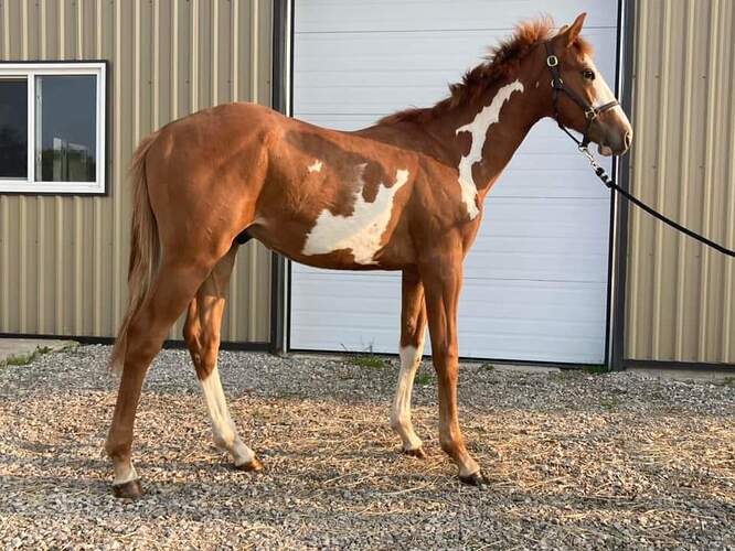 ecee96add381e8f7c0bf553a0648e993cf72a68c