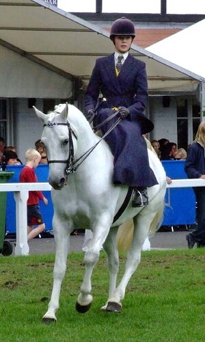 SideSaddle_class_horse_show_2