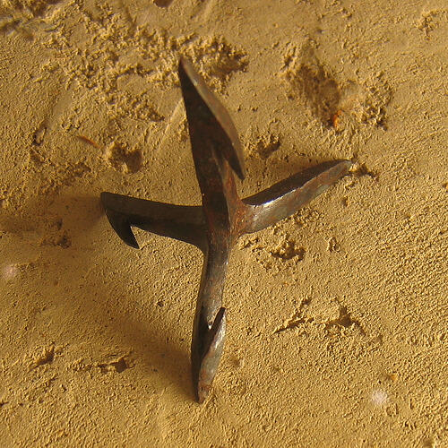 Roman_caltrop