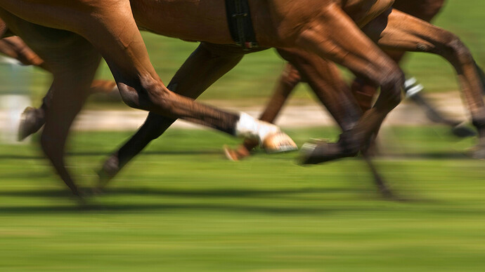 horse-legs-alamy-B61Y5H-4121163612