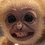Bananan